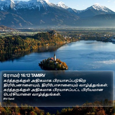 ரோமர் 16:12 TAMIRV Bible Verse Image