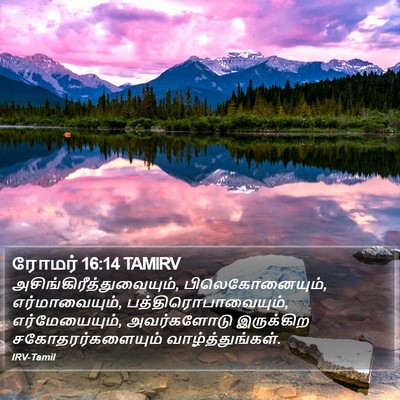 ரோமர் 16:14 TAMIRV Bible Verse Image