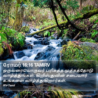 ரோமர் 16:16 TAMIRV Bible Verse Image