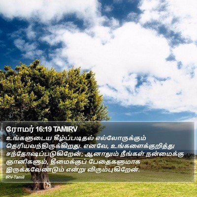 ரோமர் 16:19 TAMIRV Bible Verse Image