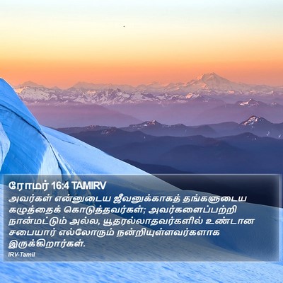 ரோமர் 16:4 TAMIRV Bible Verse Image