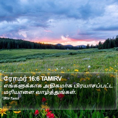 ரோமர் 16:6 TAMIRV Bible Verse Image