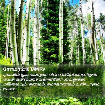 ரோமர் 2:10 TAMIRV Bible Verse Image