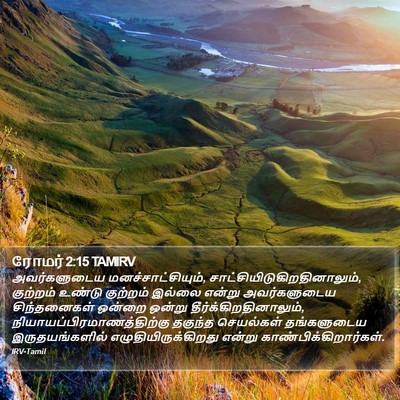 ரோமர் 2:15 TAMIRV Bible Verse Image