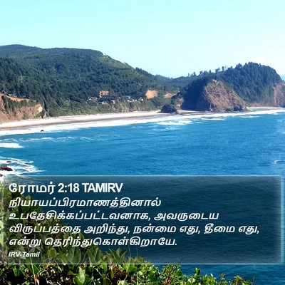 ரோமர் 2:18 TAMIRV Bible Verse Image