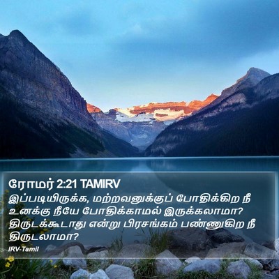 ரோமர் 2:21 TAMIRV Bible Verse Image