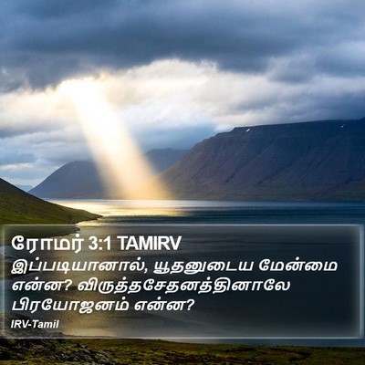 ரோமர் 3:1 TAMIRV Bible Verse Image