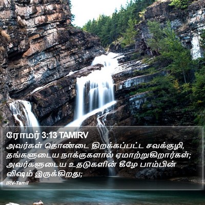 ரோமர் 3:13 TAMIRV Bible Verse Image