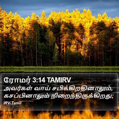 ரோமர் 3:14 TAMIRV Bible Verse Image