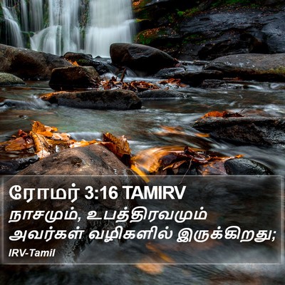 ரோமர் 3:16 TAMIRV Bible Verse Image