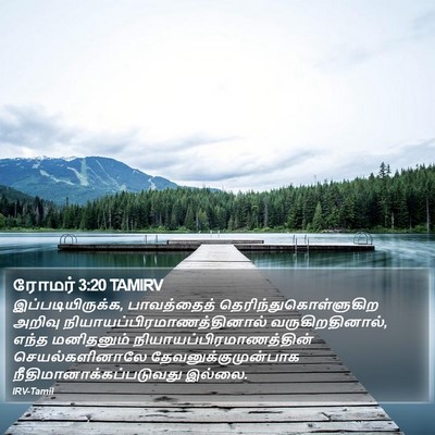 ரோமர் 3:20 TAMIRV Bible Verse Image
