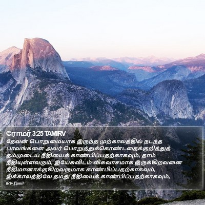 ரோமர் 3:25 TAMIRV Bible Verse Image