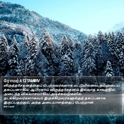 ரோமர் 4:12 TAMIRV Bible Verse Image