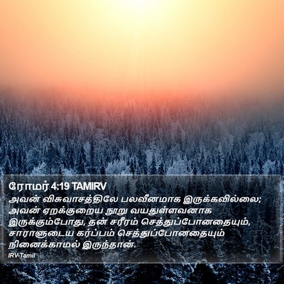 ரோமர் 4:19 TAMIRV Bible Verse Image