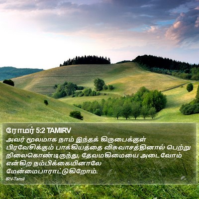 ரோமர் 5:2 TAMIRV Bible Verse Image