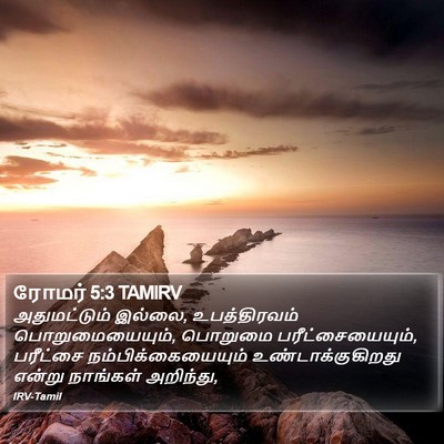 ரோமர் 5:3 TAMIRV Bible Verse Image