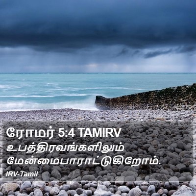 ரோமர் 5:4 TAMIRV Bible Verse Image