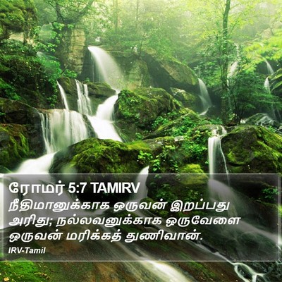 ரோமர் 5:7 TAMIRV Bible Verse Image