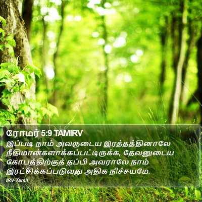 ரோமர் 5:9 TAMIRV Bible Verse Image