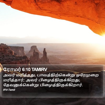 ரோமர் 6:10 TAMIRV Bible Verse Image