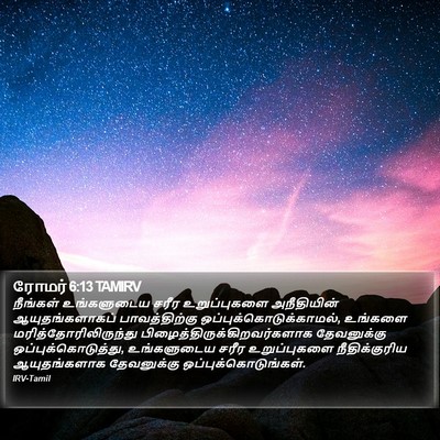ரோமர் 6:13 TAMIRV Bible Verse Image