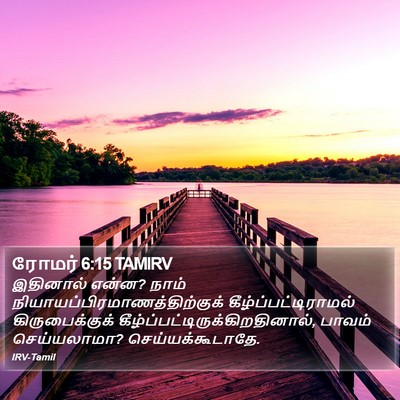 ரோமர் 6:15 TAMIRV Bible Verse Image