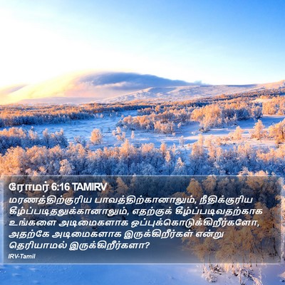 ரோமர் 6:16 TAMIRV Bible Verse Image