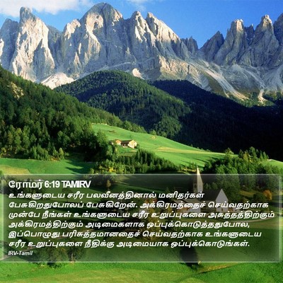 ரோமர் 6:19 TAMIRV Bible Verse Image