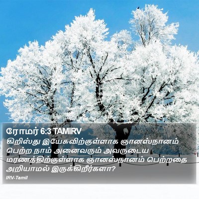 ரோமர் 6:3 TAMIRV Bible Verse Image