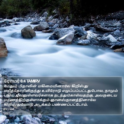 ரோமர் 6:4 TAMIRV Bible Verse Image