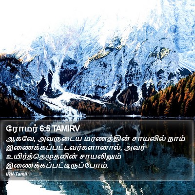 ரோமர் 6:5 TAMIRV Bible Verse Image