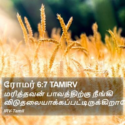 ரோமர் 6:7 TAMIRV Bible Verse Image