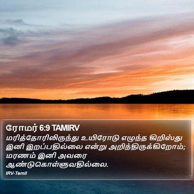 ரோமர் 6:9 TAMIRV Bible Verse Image