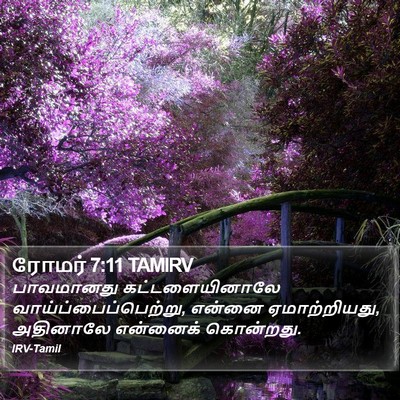 ரோமர் 7:11 TAMIRV Bible Verse Image
