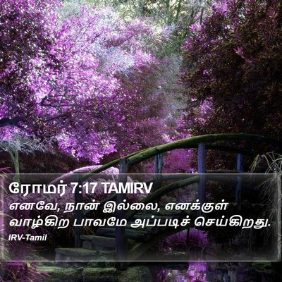 ரோமர் 7:17 TAMIRV Bible Verse Image
