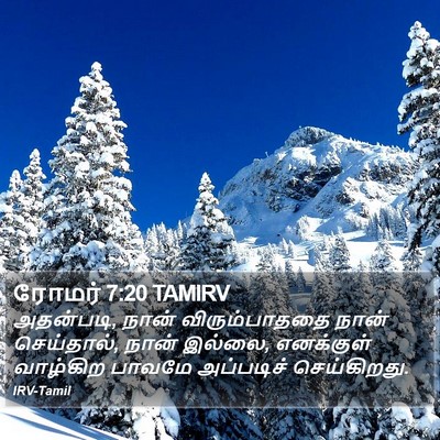 ரோமர் 7:20 TAMIRV Bible Verse Image