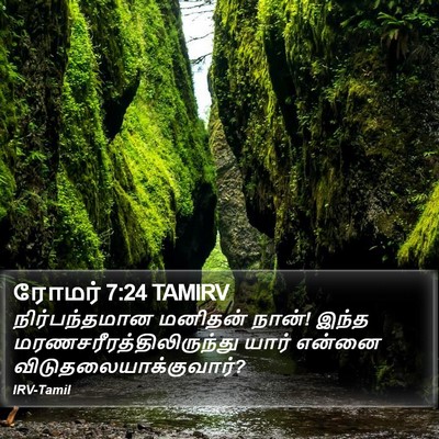 ரோமர் 7:24 TAMIRV Bible Verse Image