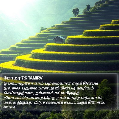 ரோமர் 7:6 TAMIRV Bible Verse Image