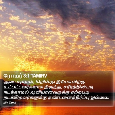 ரோமர் 8:1 TAMIRV Bible Verse Image