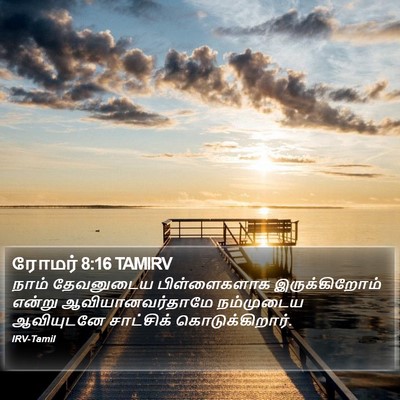 ரோமர் 8:16 TAMIRV Bible Verse Image