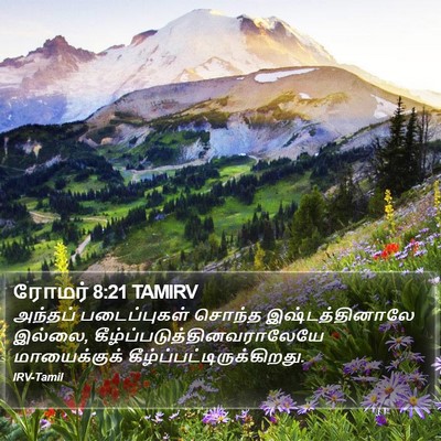 ரோமர் 8:21 TAMIRV Bible Verse Image