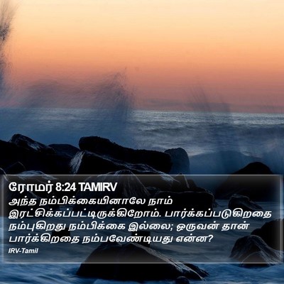 ரோமர் 8:24 TAMIRV Bible Verse Image