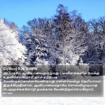 ரோமர் 8:26 TAMIRV Bible Verse Image