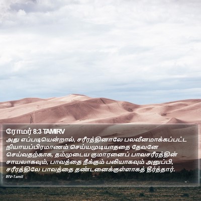 ரோமர் 8:3 TAMIRV Bible Verse Image