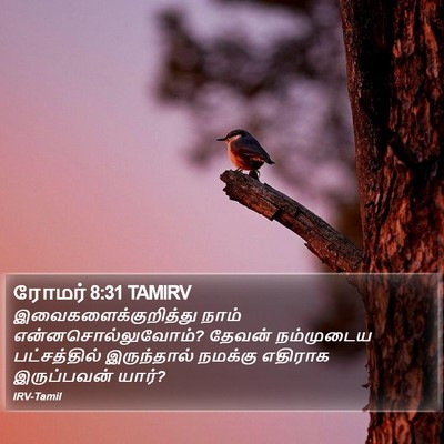 ரோமர் 8:31 TAMIRV Bible Verse Image