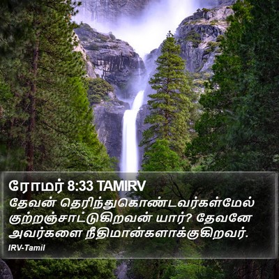 ரோமர் 8:33 TAMIRV Bible Verse Image