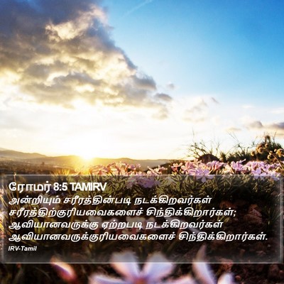 ரோமர் 8:5 TAMIRV Bible Verse Image