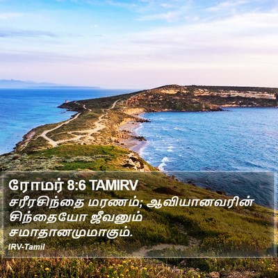 ரோமர் 8:6 TAMIRV Bible Verse Image
