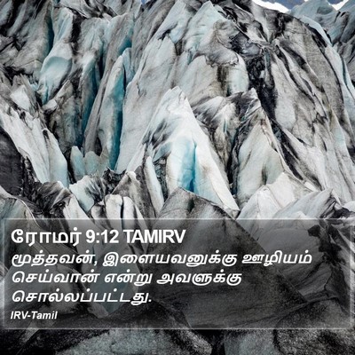 ரோமர் 9:12 TAMIRV Bible Verse Image