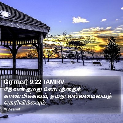 ரோமர் 9:22 TAMIRV Bible Verse Image